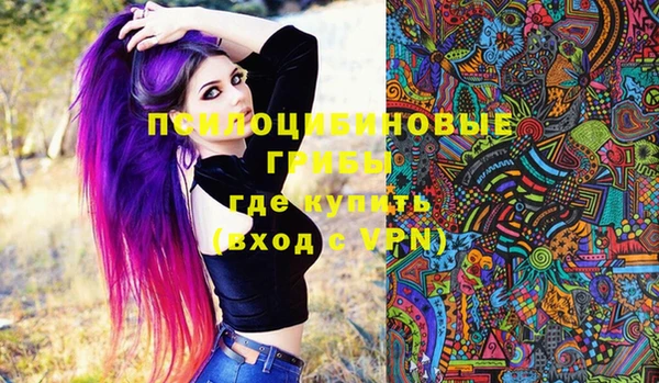 крисы Ельня