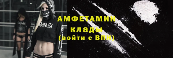крисы Ельня