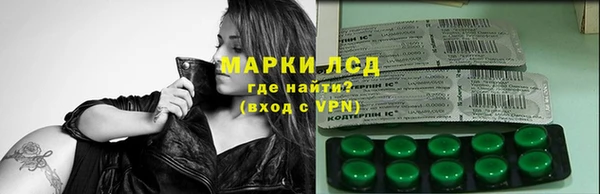 крисы Ельня