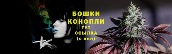 гидра Заволжье