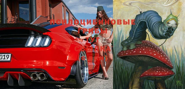 Альфа ПВП Елизово