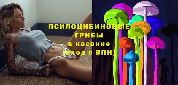 ГАЛЛЮЦИНОГЕННЫЕ ГРИБЫ Тихорецк