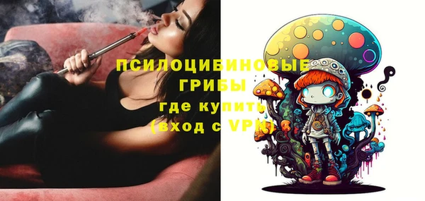 ГАЛЛЮЦИНОГЕННЫЕ ГРИБЫ Тихорецк