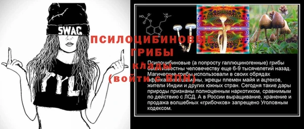 гидра Заволжье