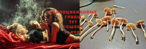 СК Заводоуковск