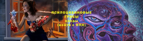 прущий лед Дмитровск
