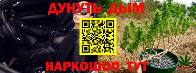индика Беслан