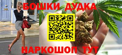 индика Беслан
