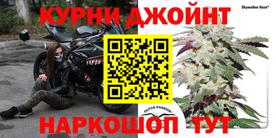 PSILOCYBIN Берёзовский