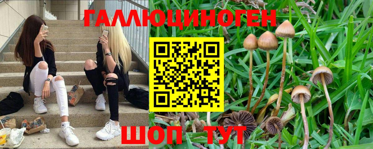 Гагарин  Псилоцибиновые грибы MAGIC MUSHROOMS  Галлюциногенные грибы Psilocybine cubensis  наркотики  Вход с VPN 