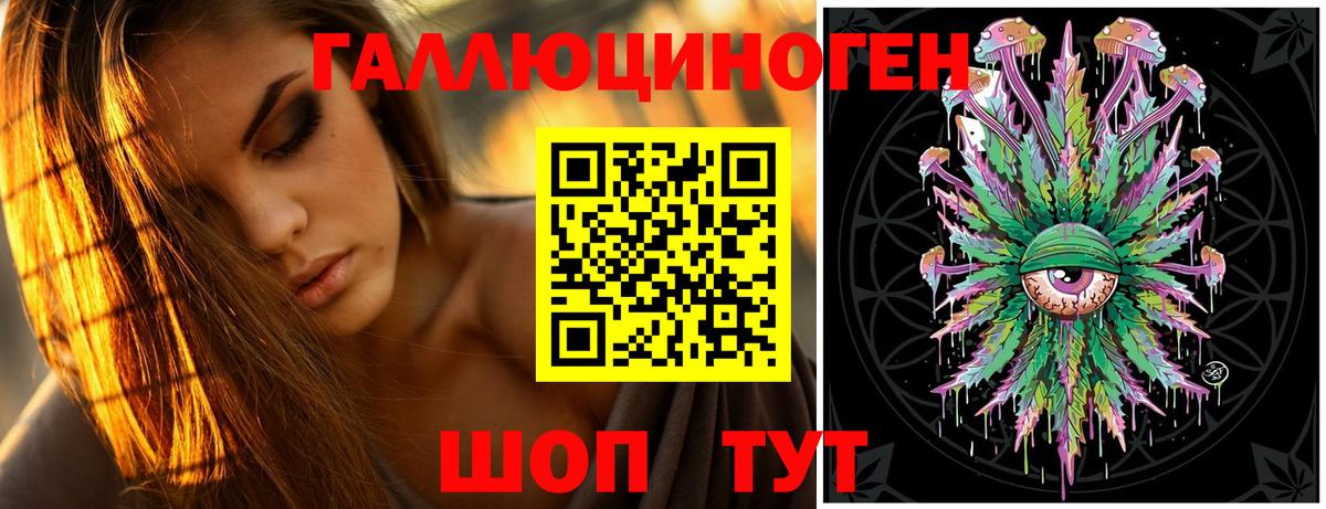 Галлюциногенные грибы Psilocybine cubensis  Гагарин 