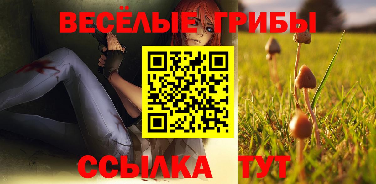 Псилоцибиновые грибы Psilocybe Гагарин