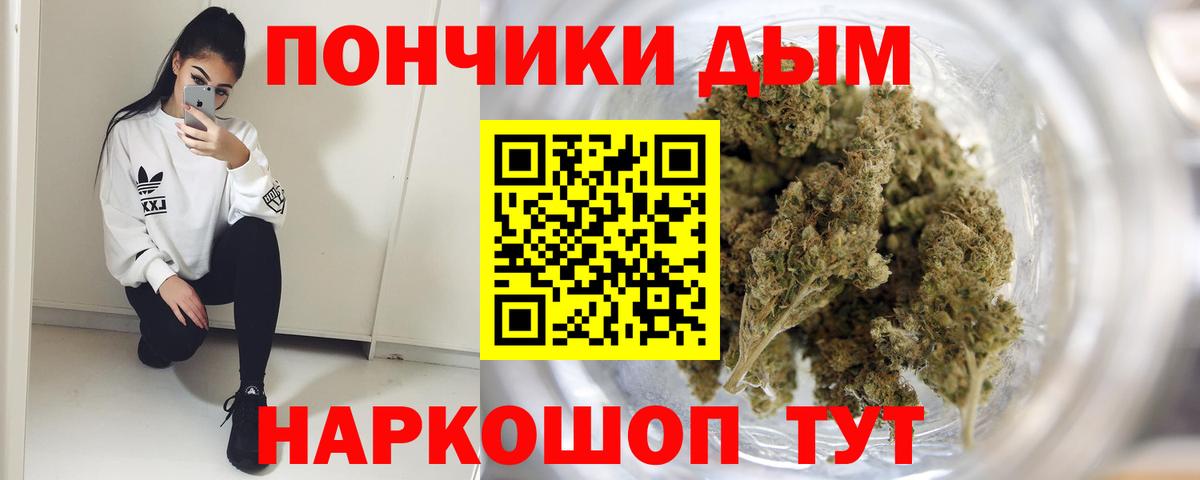 Шишки марихуана гибрид Гагарин